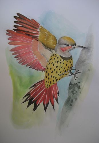 Art Studio PALETTE. Thi Hoang Picture.  Watercolour Animals Birds 