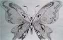 Art Studio PALETTE. Butterfly by imagenation
