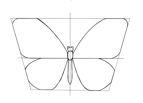 Art Studio PALETTE.  Lesson 1. Graphic drawing Butterfly. Pic.2