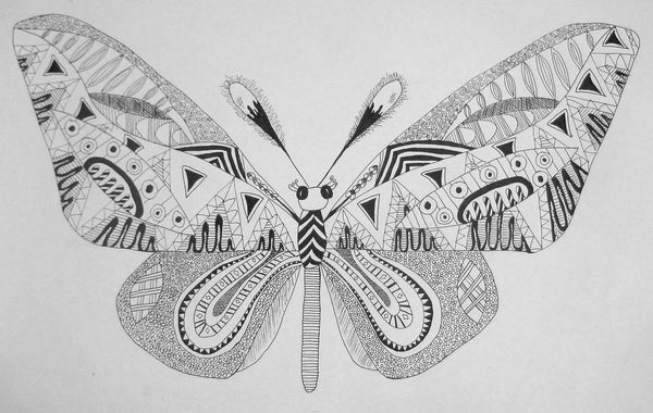 Art Studio PALETTE.  Lesson 1. Graphic drawing Butterfly. Pic.5 Sarah Ziolkiewicz. 13 y.o.