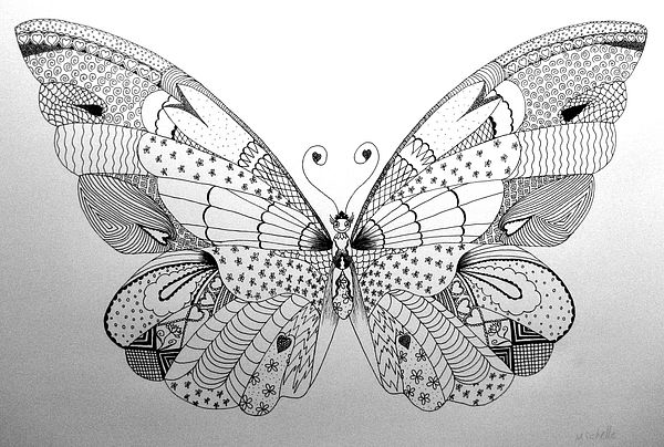 Art Studio PALETTE.  Lesson 1. Graphic drawing Butterfly. Pic.7  Michelle Tseng. 15 y.o.